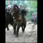 Thailand 2007 445.jpg